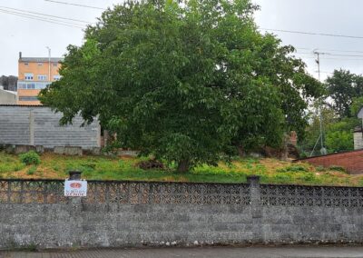 FINCA CONDE PALLARES
